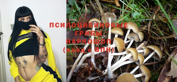 кокаин Богданович