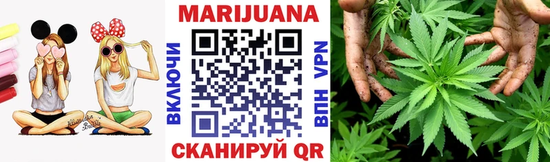Конопля ГИДРОПОН  Таганрог 